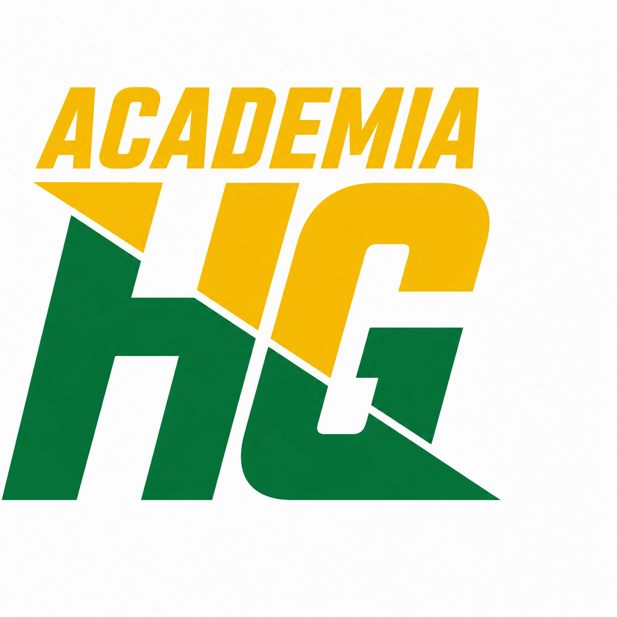 Logo ACADEMIA HG