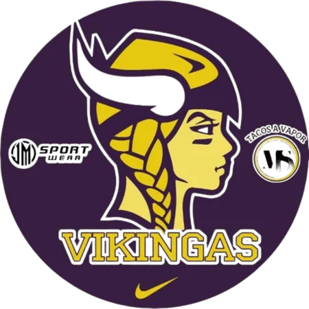 Logo VIKINGAS