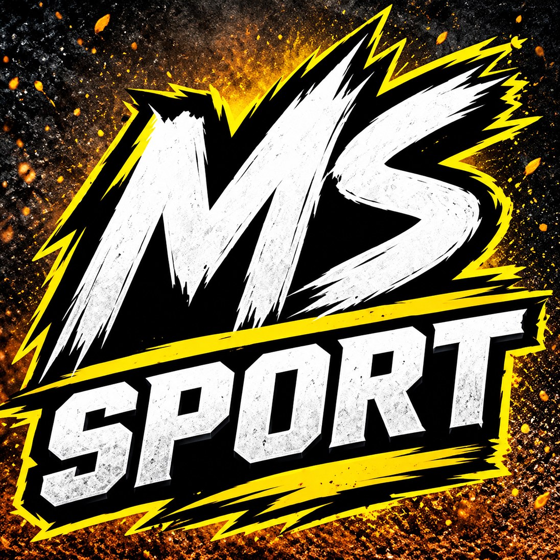 Logo MS SPORTS