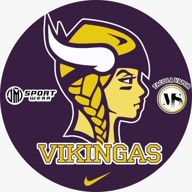 Logo VIKINGAS
