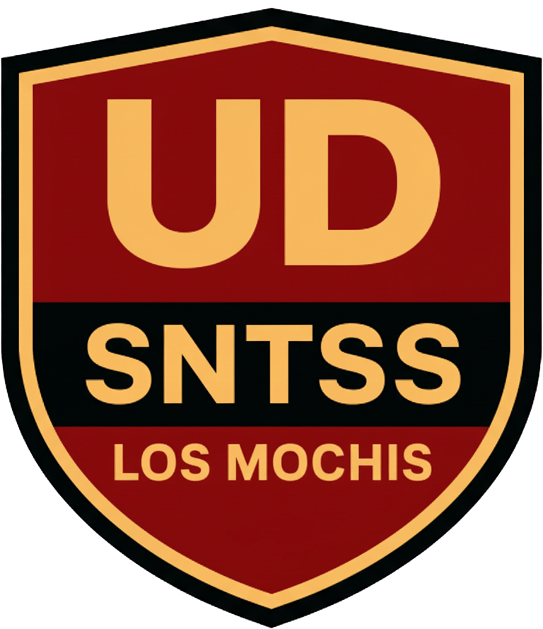 Logo TORNEO INTERNO DE SOFTBOL SNTSS